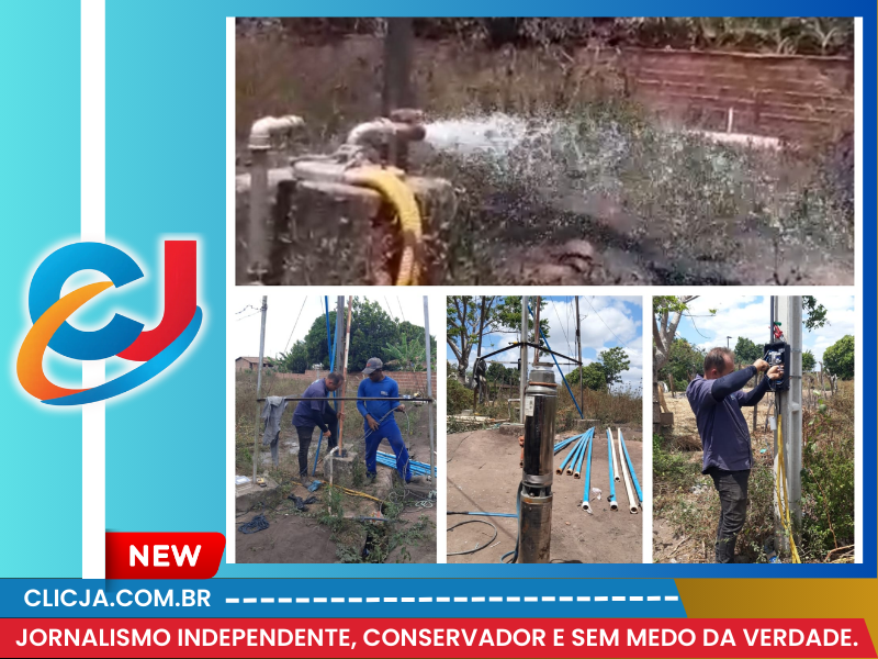 Jornalismo independente, conservador e sem medo da verdade.