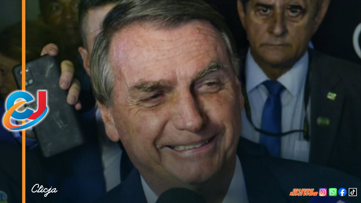 Clicja profissinal